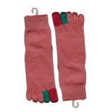 Womens` Colourful Five Toe Sock (TS-002)